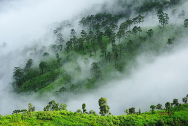 Neblina Risco Químico