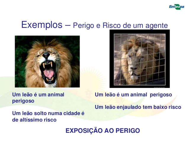 Diferen a Entre Risco E Perigo Viver De Seguran a Do Trabalho
